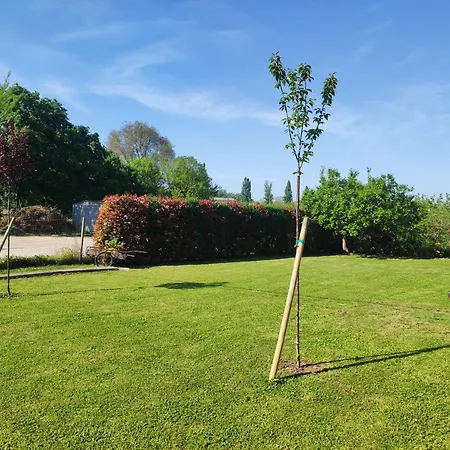 I Due Orfici Bed & Breakfast Cona (Emilia-Romagna)