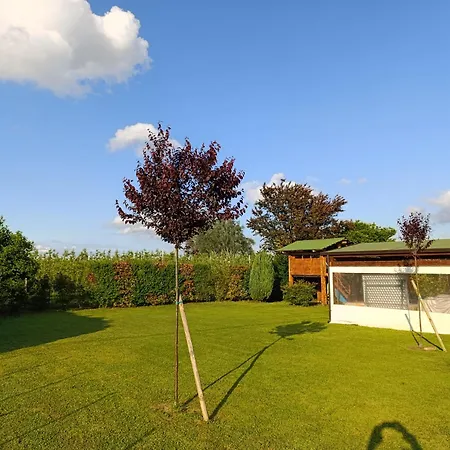 ベッド・アンド・ブレックファスト I Due Orfici