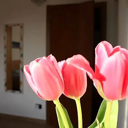 I Due Orfici Bed & Breakfast Cona (Emilia-Romagna)