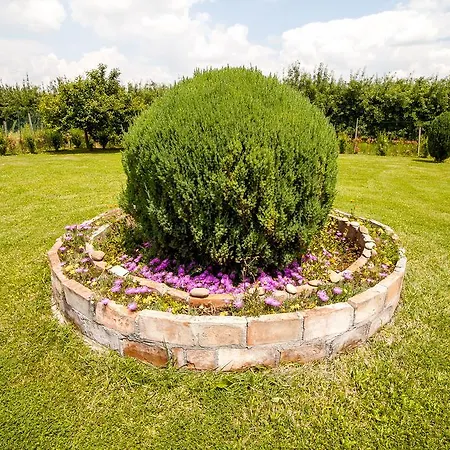 ベッド・アンド・ブレックファスト I Due Orfici