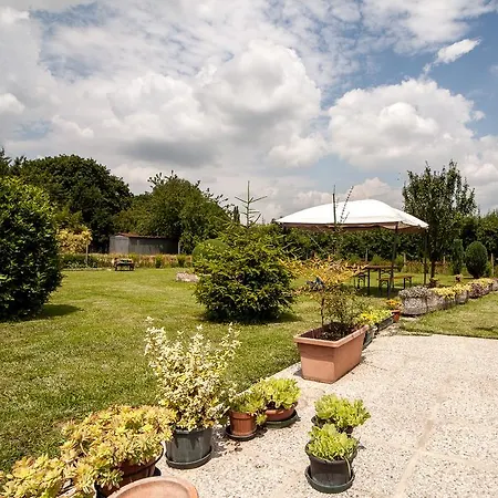 I Due Orfici Cona (Emilia-Romagna)