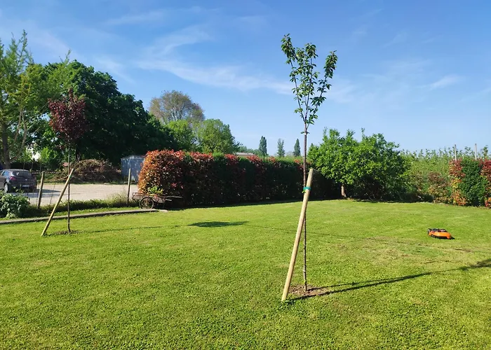 I Due Orfici فندق مبيت وإفطار Cona (Emilia-Romagna)